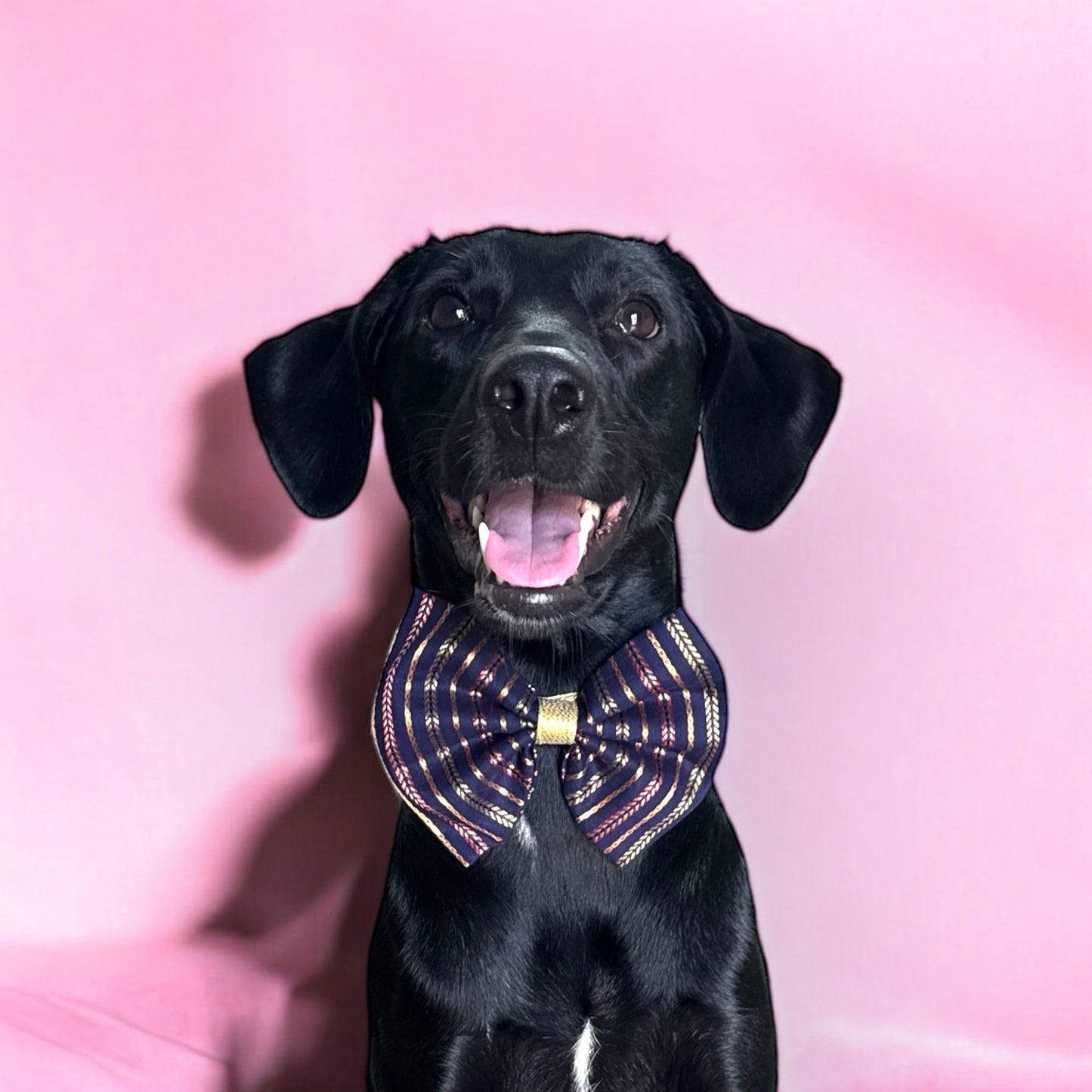 Navy Bow Tie