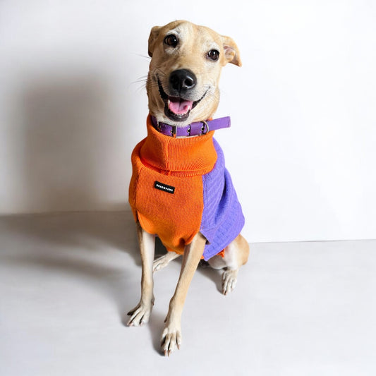 Winter Woofies Sweater - Orange & Purple