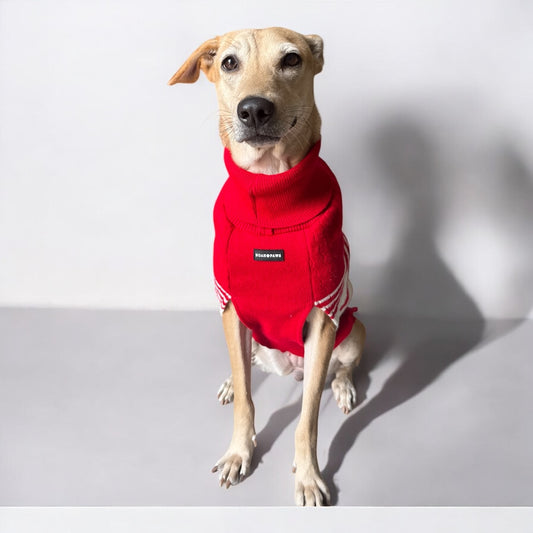 Winter Woofies Sweater - Red