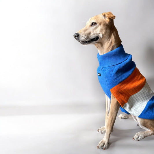 Winter Woofies Sweater - Blue