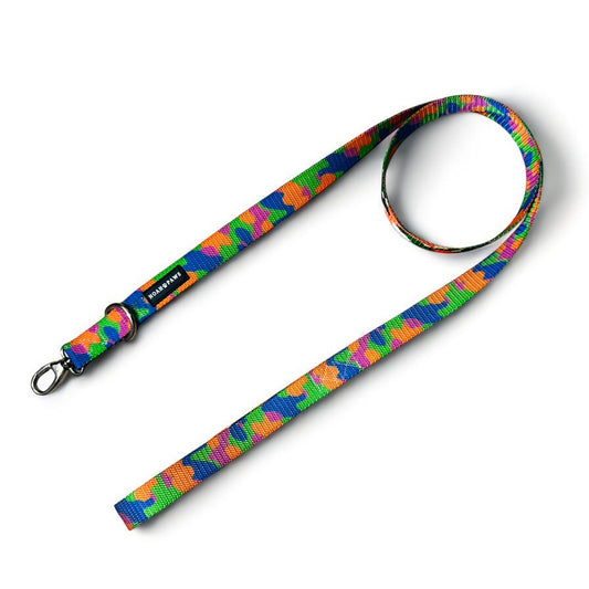 Multicolor Dog Leash